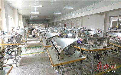 圖片新聞 技術服務一線行——科技賦能田間地頭