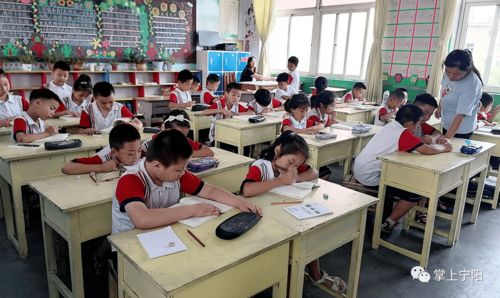 多圖記錄 寧陽暑期托管正式啟動(dòng)，全縣2400余名學(xué)生共享多彩假期